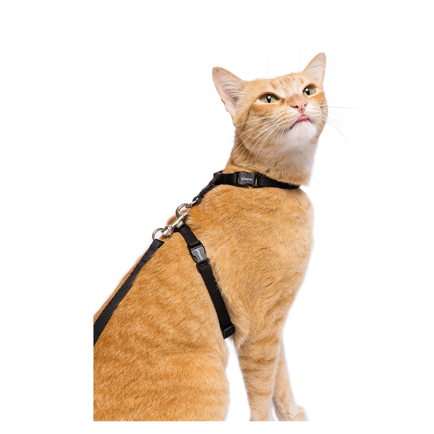 Peitoral H com Guia para Gatos Tchucoo Preto